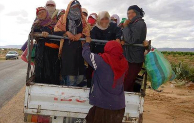 سليانة: إصابة 11 عاملة فلاحية في حادث إنزلاق شاحنة خفيفة