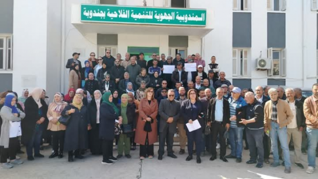 وقفة احتجاجية لأعوان وإطارات مندوبية التنمية الفلاحية بجندوبة