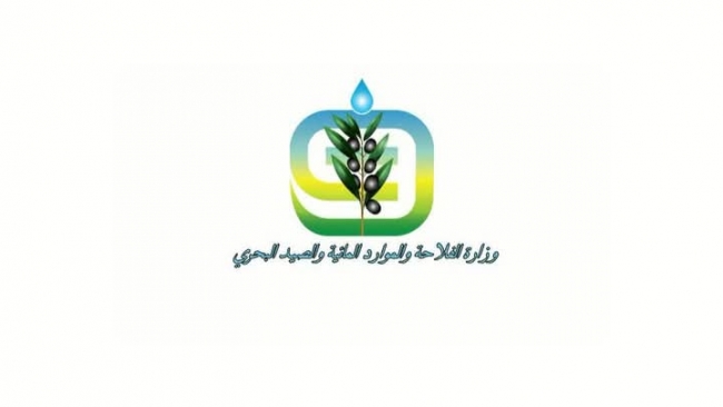 وزارة الفلاحة: إجراءات جديدة تهمّ مربي الماشية ومزارعي الأعلاف