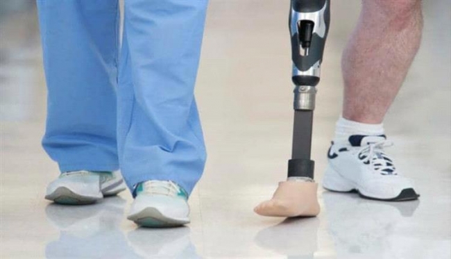 علماء يكتشفون آلية جينية تساعد على استعادة الأطراف المفقودة بالكامل