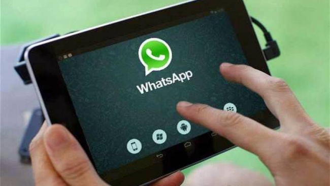 دون رقم هاتــف..واتساب يُطور ميزة جديدة تُــتيح التواصل باسم المستخدم