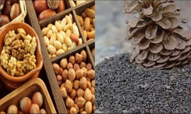 هيئة السلامة الصحية تحجز 15 طنا من منتجات الزقوقو والفواكه الجافة