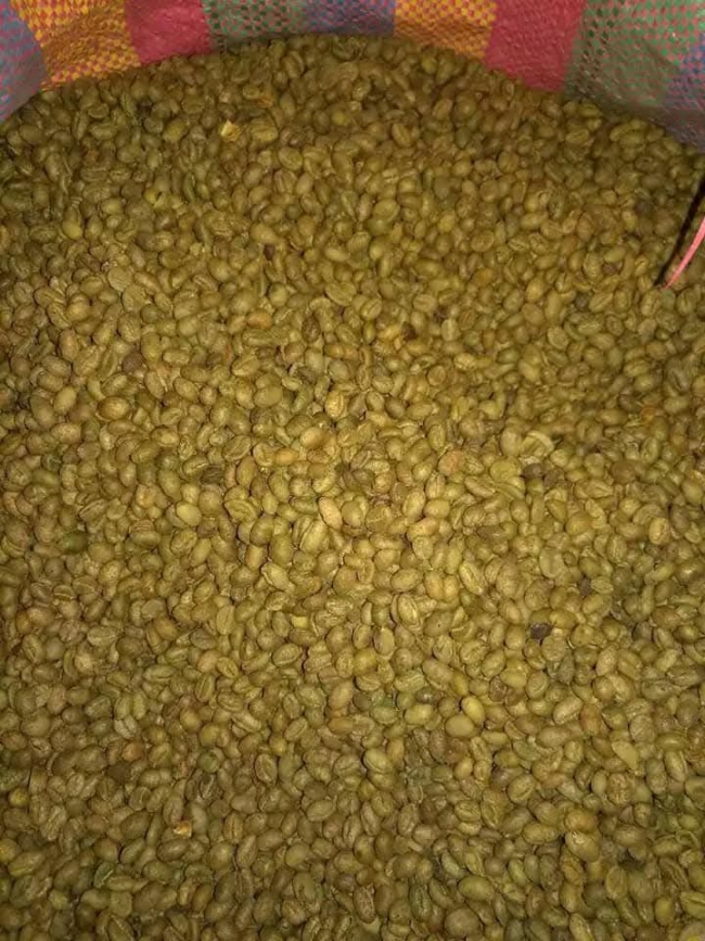 ديوان التجارة يوفر كميات من القهوة الخضراء