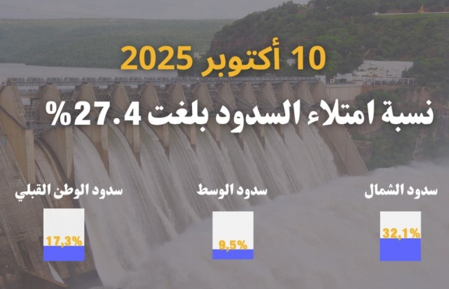 إلى غاية 10 أكتوبر: نسبة امتلاء السدود 27،4 بالمائة