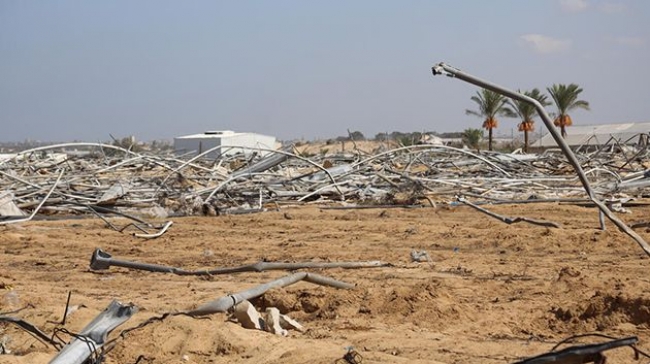 تدمير 80 بالمائة من الأراضي الزراعية في القطاع