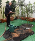 Sorry! Image not available at this time