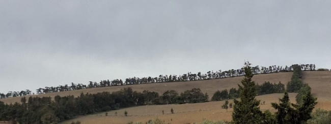 بنزرت: استرجاع عقار دولي فلاحي يمسح 7 هكتارات بمعتمدية راس الجبل