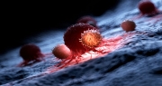 دراسة جديدة يمكن أن تحسن في علاجات السرطان بدلاً من استخدام المواد الكيميائية أو الإشعاع
