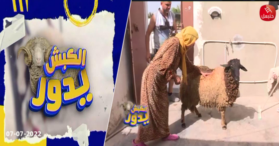 الكبش يدور من تونس لمنزل بوزلفة فرحنا خمسة عايلات